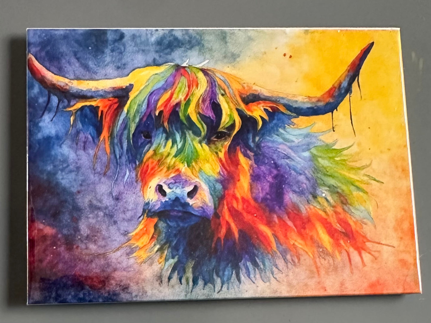 Colorful Highland Cow